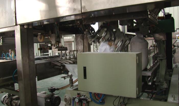 大單體全自動包裝機 大單體全自動包裝機